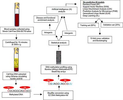 Precision Oncology: Artificial Intelligence and DNA Methylation Analysis of Circulating Cell-Free DNA for Lung Cancer Detection